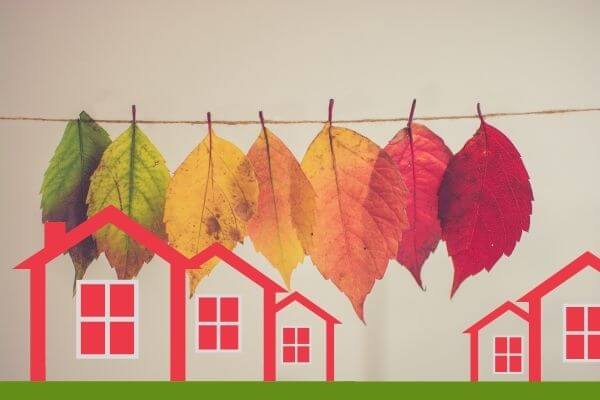 Autumn leaves and house buying - Building on Basics