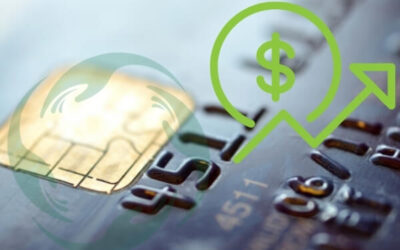 Credit Cards and the Cost of Debt