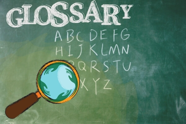 Finance Glossary and FAQs - Building on Basics