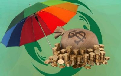 Government Income Insurance