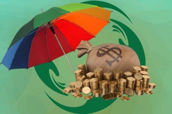 building on basics government income insurance announcement