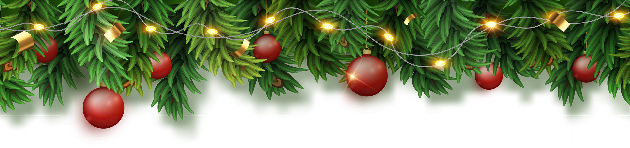 bc5cffab-3c95-40a3-9e73-abd568204eed